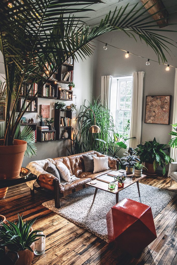 plantas en sala de estar traen beneficios