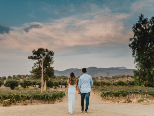 Fotos que reflejan tu estilo y personalidad: Almazara Rancho Olivares