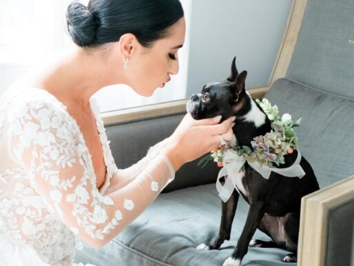 Bodas y Perritos.